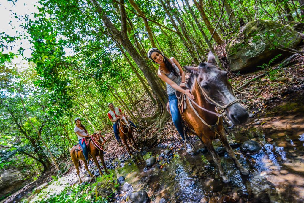 Vida Aventura Ranch Hotel Tanques Buitenkant foto