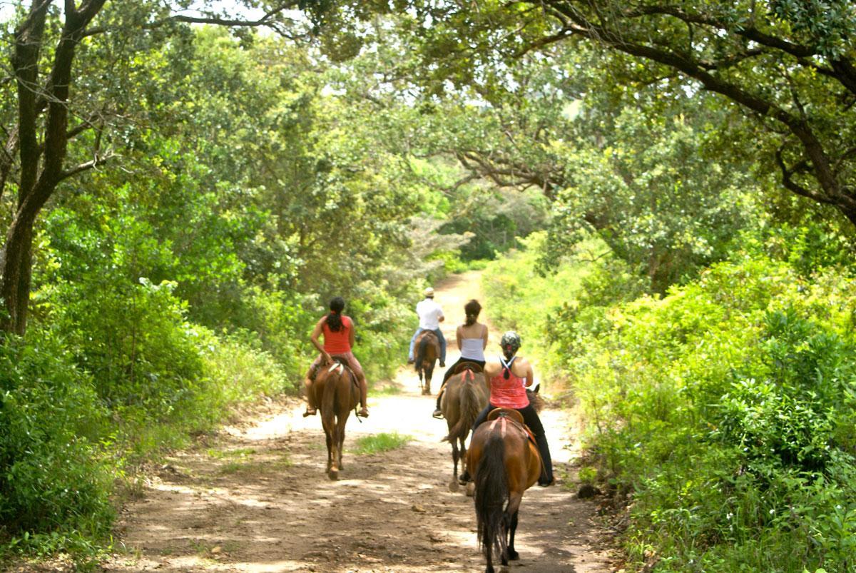Vida Aventura Ranch Hotel Tanques Buitenkant foto